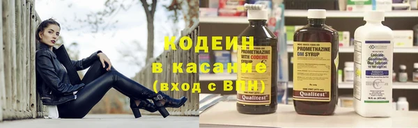 прущие грибы Касимов
