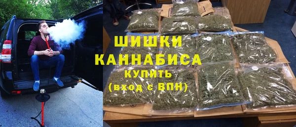 тгк Лиски