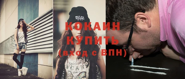 стаф Каменск-Шахтинский