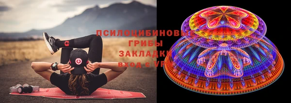прущие грибы Касимов