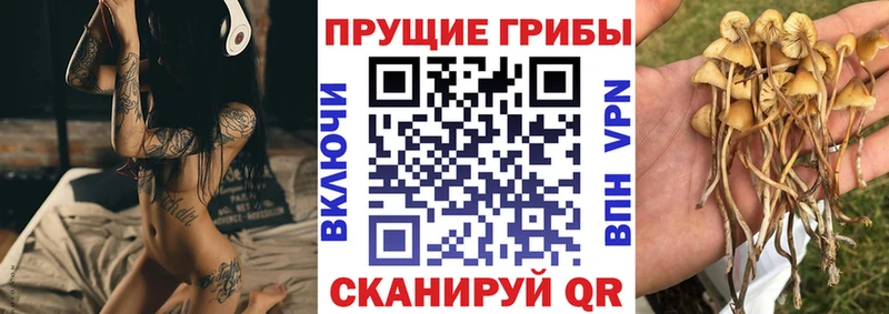 Псилоцибиновые грибы GOLDEN TEACHER  Еманжелинск 